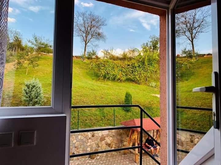 Casa Anca Hotel Máramarossziget Kültér fotó