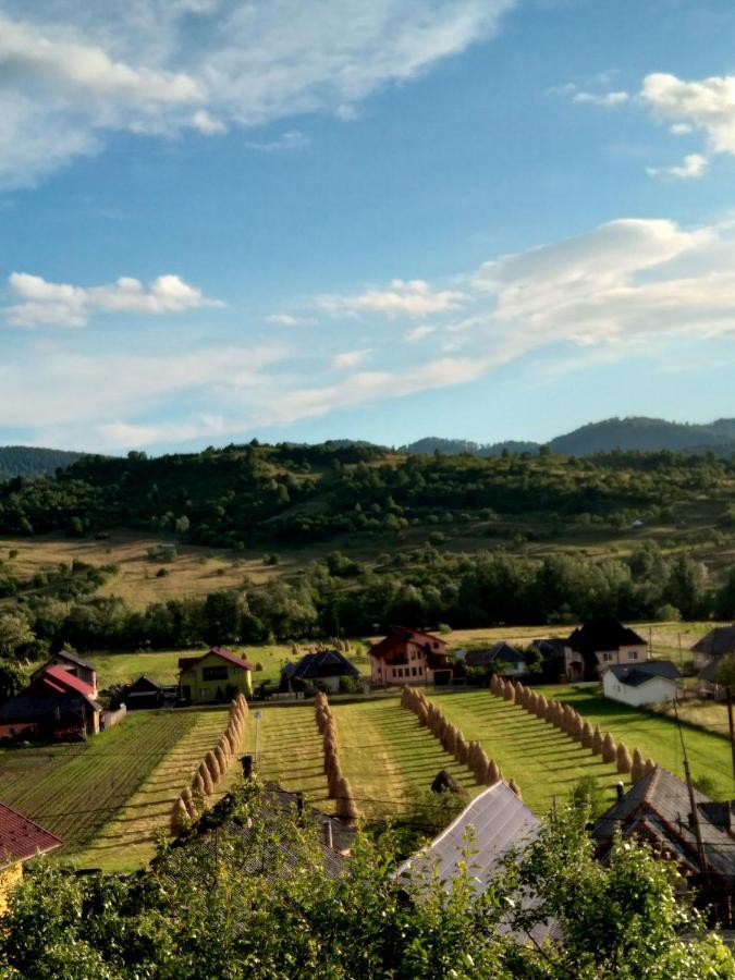 Casa Anca Hotel Máramarossziget Kültér fotó