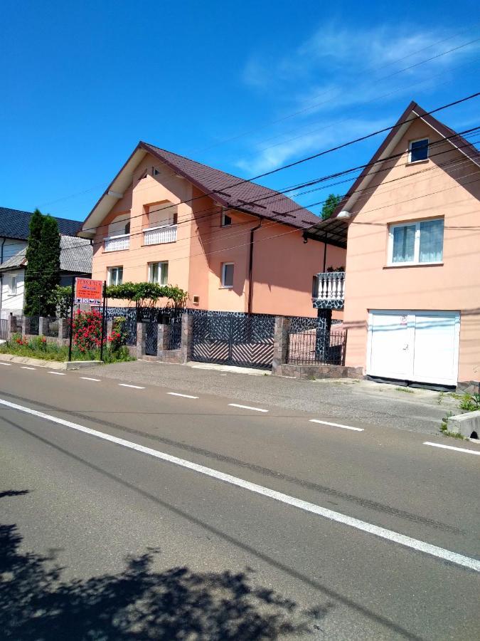 Casa Anca Hotel Máramarossziget Kültér fotó